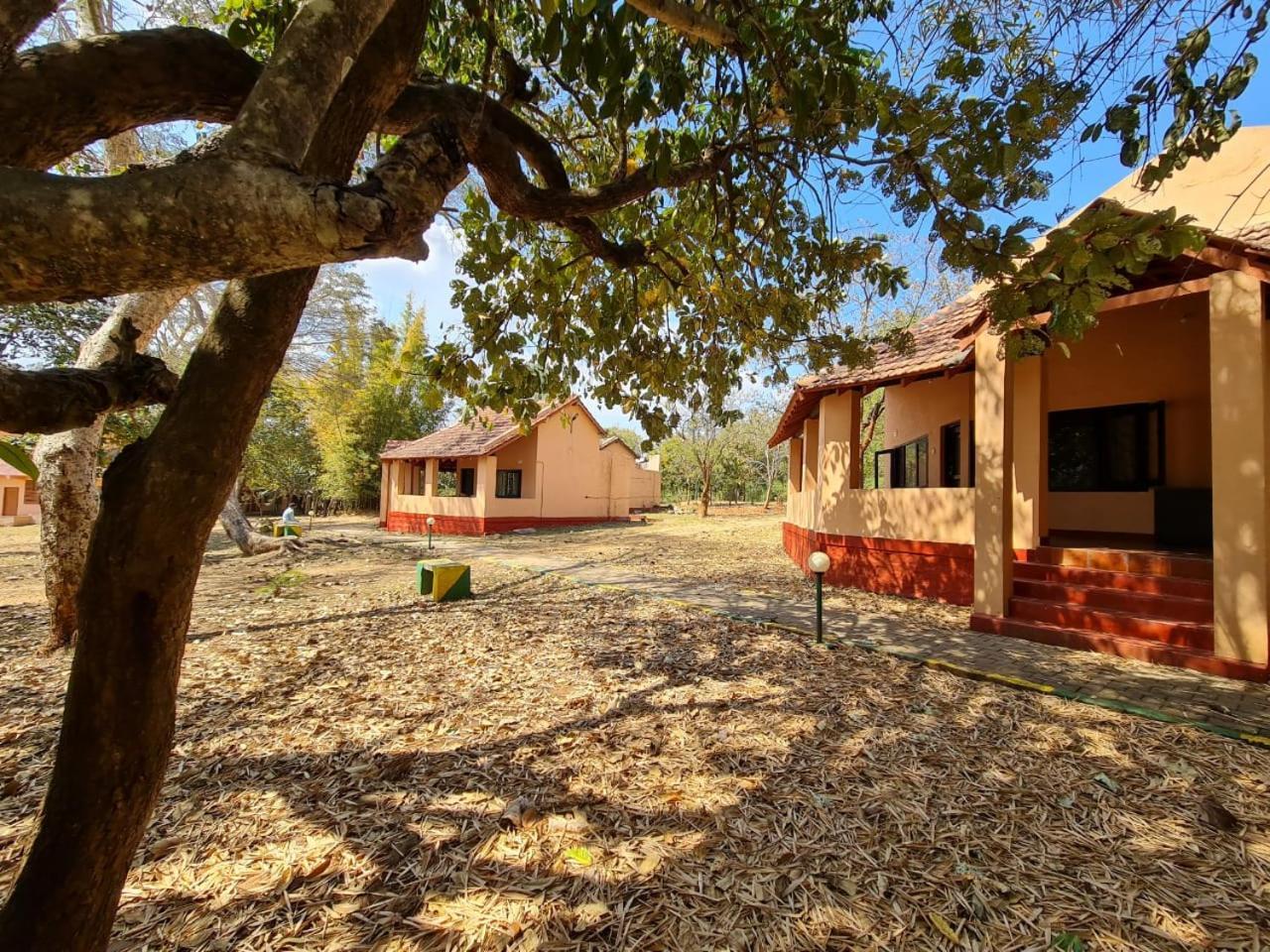The Country Club Wildlife Resorts Bandipūr Eksteriør bilde